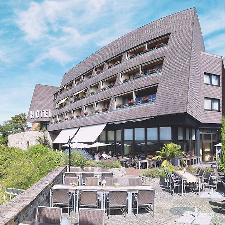 布莱萨赫市酒店 莱茵河畔的布赖萨赫 外观 照片